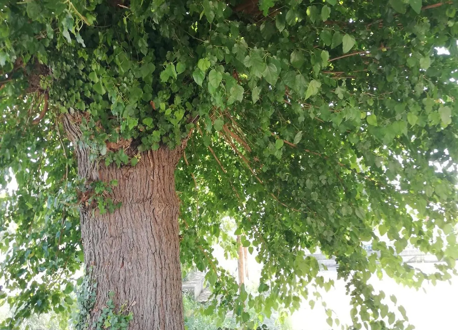 Lory Villa Sveti Lovrec Pazenaticki